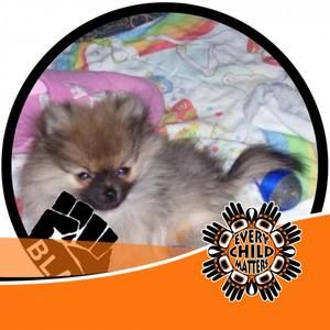 Meet your Posher, Kimmy